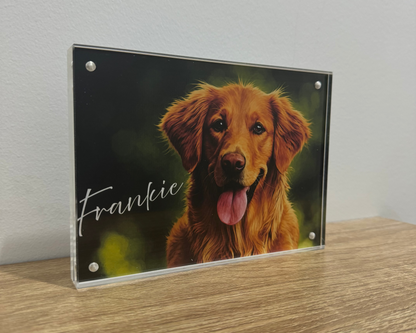 Custom Pawtraits