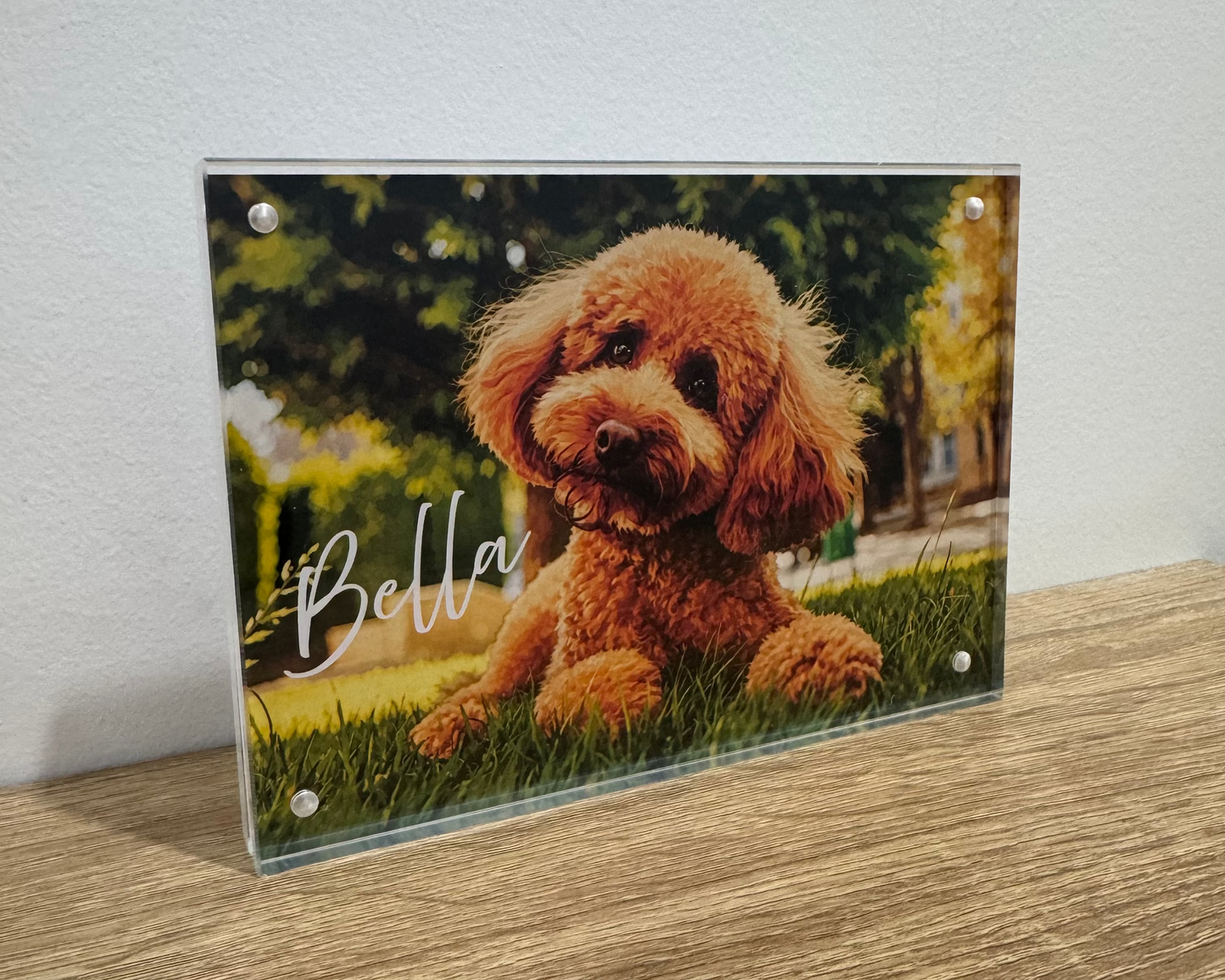 Custom Pawtraits