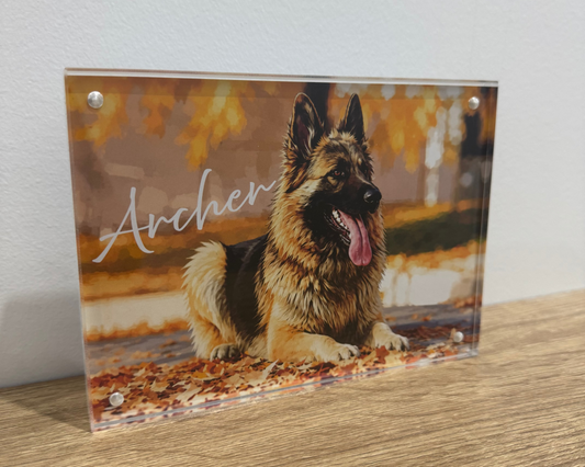 Custom Pawtraits