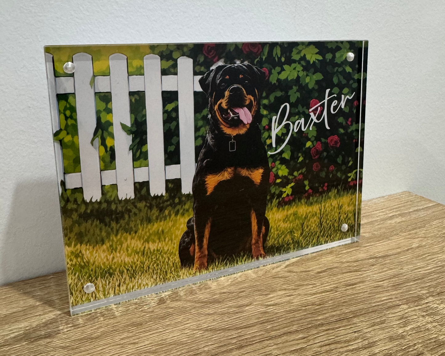 Custom Pawtraits