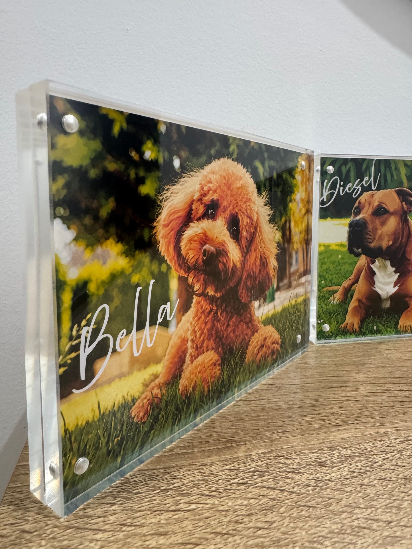 Custom Pawtraits