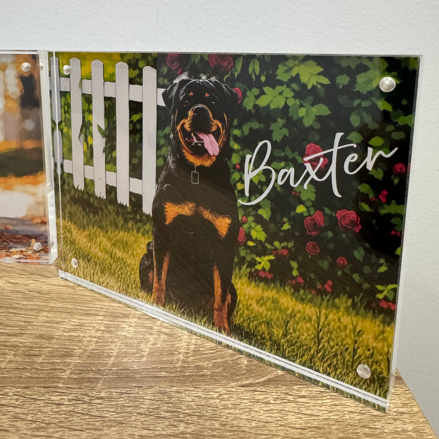 Custom Pawtraits